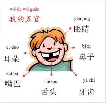 Răng sứ tiếng Trung là gì